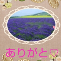 ͼ˥ӥͥ 񤤤͢