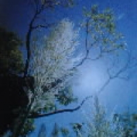 Omotena-shi