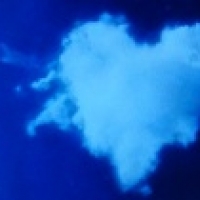 Ǥ